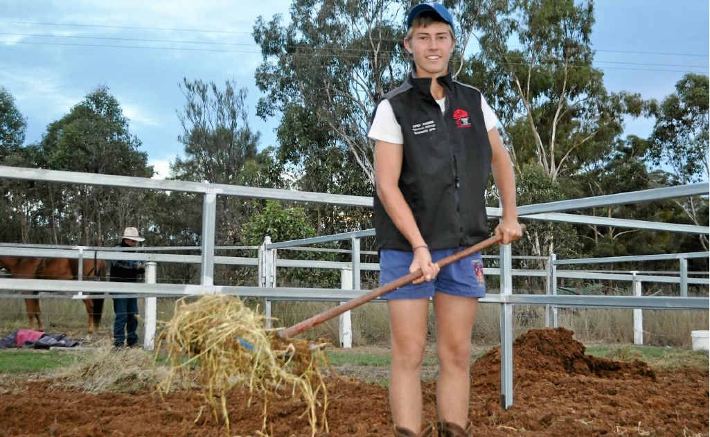 Jack Knight does his part in mucking out the stalls. Jack Knight does his part in mucking out the stalls.